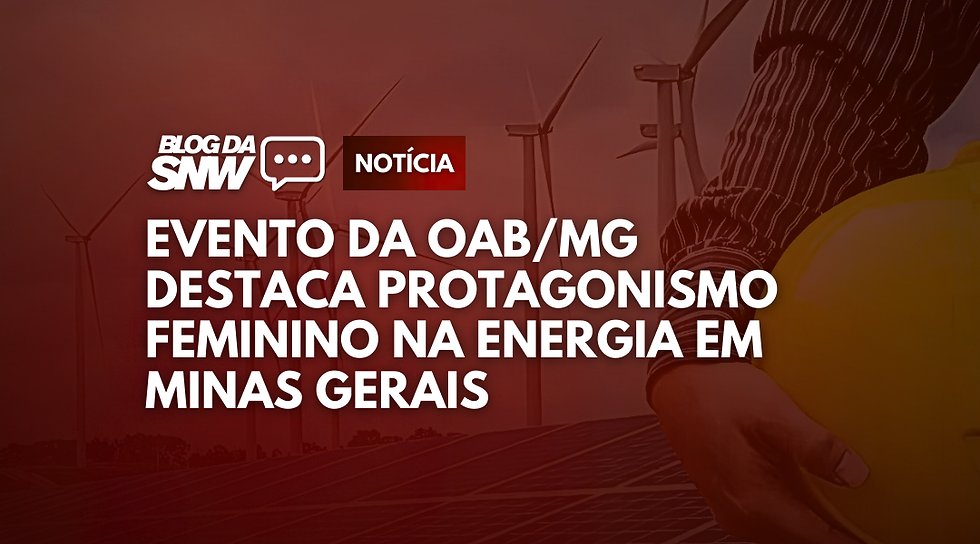 Créditos: Assessoria SNW.SOL / Gemini