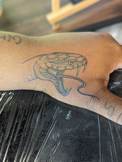 PXL_20240427_202937984.PORTRAIT