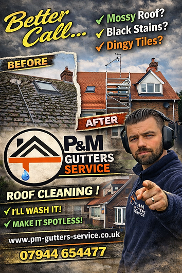 roof cleaning.png