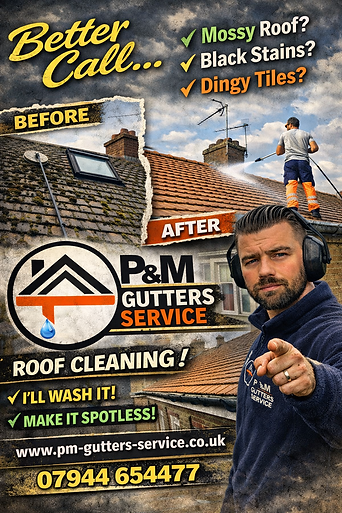 roof cleaning .png