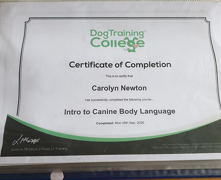 Certificate 9.jpg