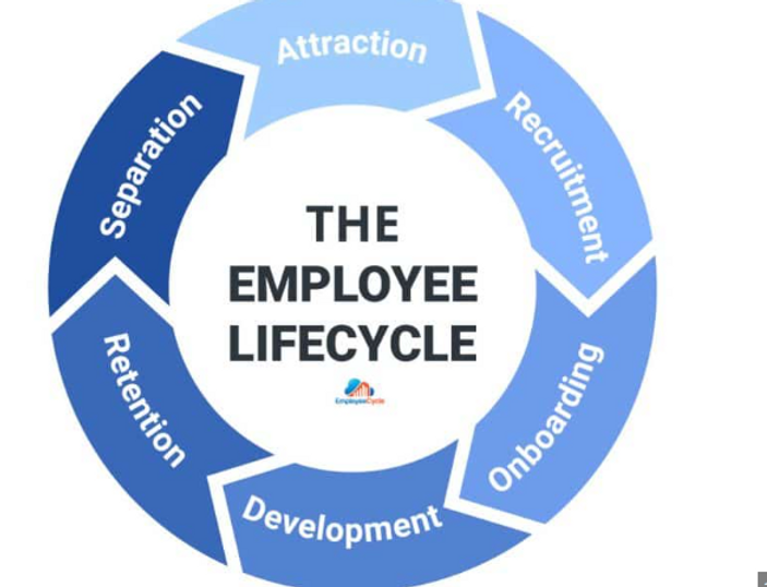 Employee Lifecycle Management Services