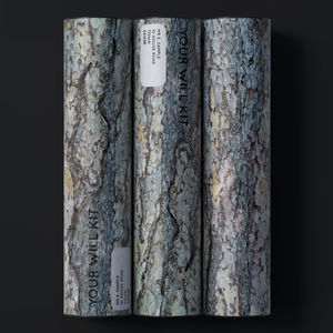 University Project - Woodland Trust