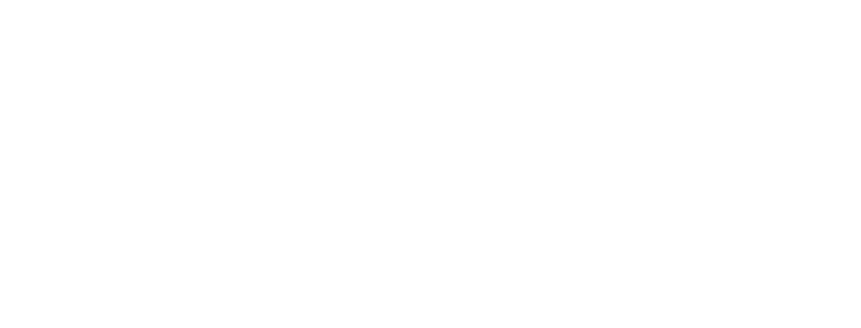 WDF OFFICIAL WHITE LOGO_edited.png