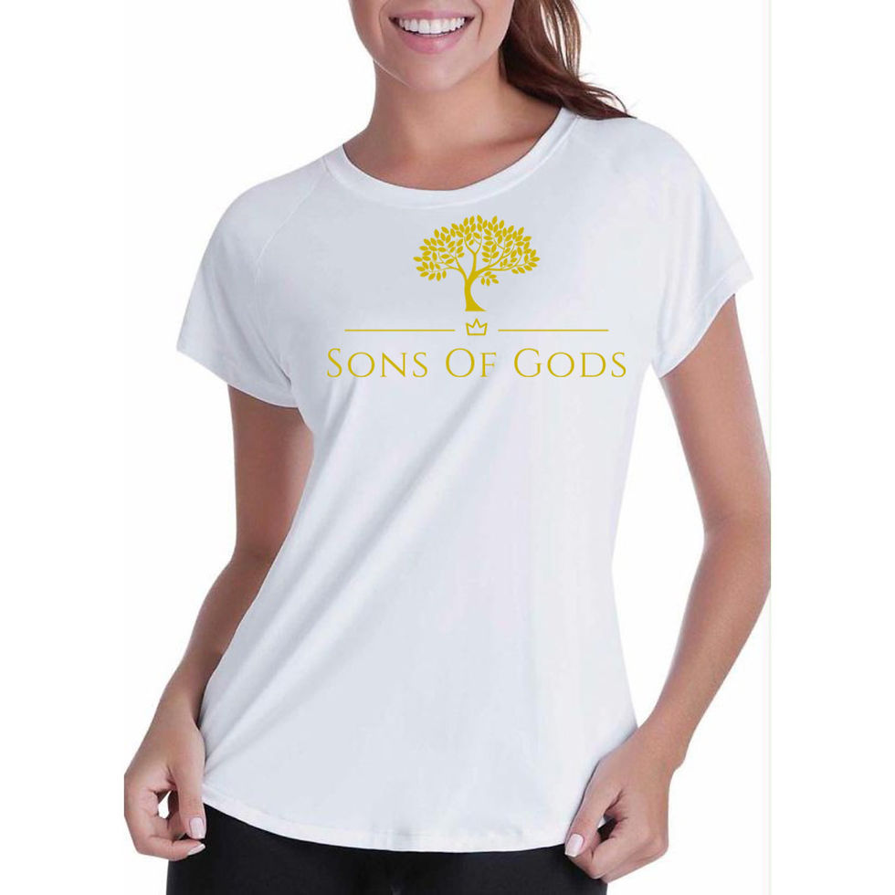 Miniatura: Camiseta do RPG