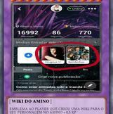 WIKI DO AMINO.png