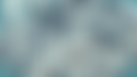 Environmental Economics and Sustainability: Key International Standards for Modern Businesses