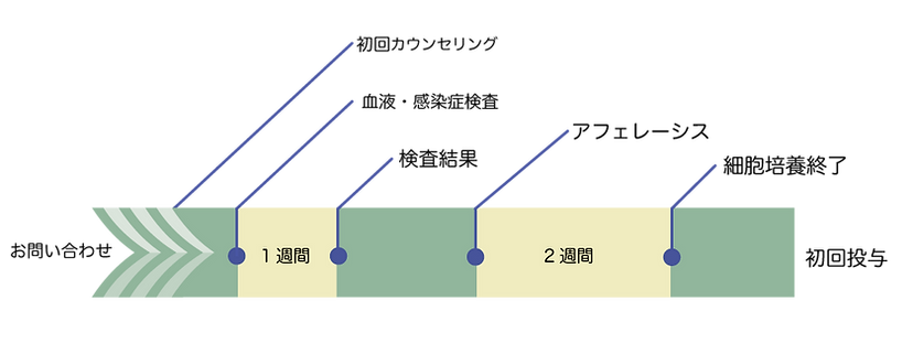 NKT進行グラフ1.png