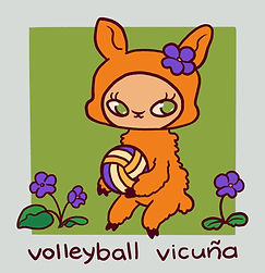 Volleyball_Vicuña.jpg