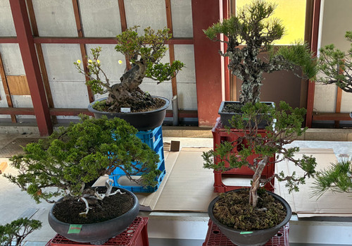 All Products | 居酒屋 よつ葉