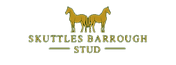 Blue Minimalist Horse Farm Logo - 1_edited_edited.png