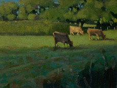 Heswall Fields