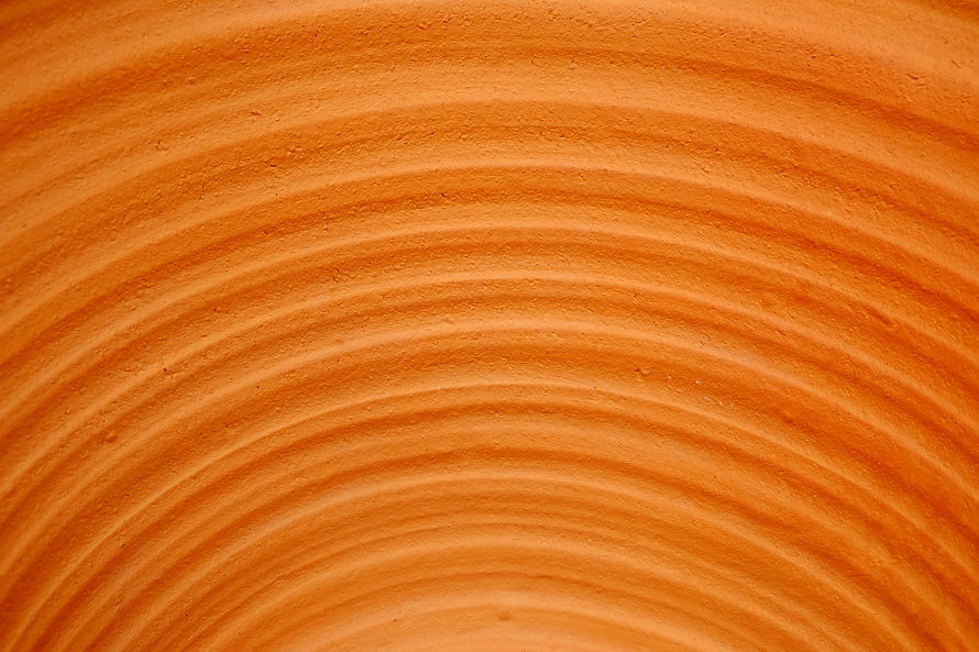 AdobeStock_237543970.jpeg
