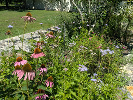 Planning for Spring Gardens NOW