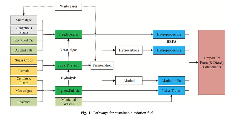 the pathway of SAF