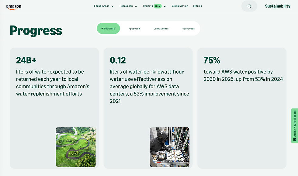 amazon progress