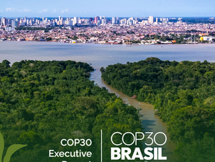 COP30 Executive Report (March 2026): What Belém signaled for the next phase of climate action