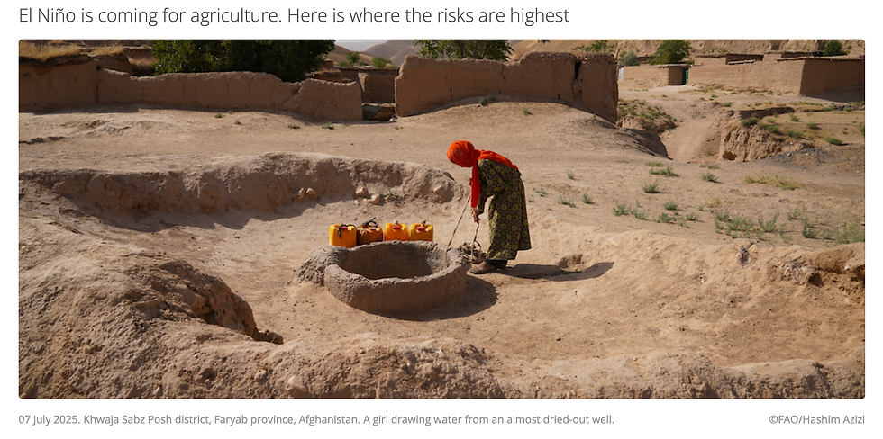 El Niño coming for agriculture