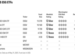Five Largest US ESG ETFs