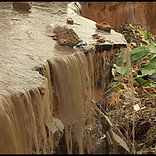 a agua conhece o seu caminho.jpg