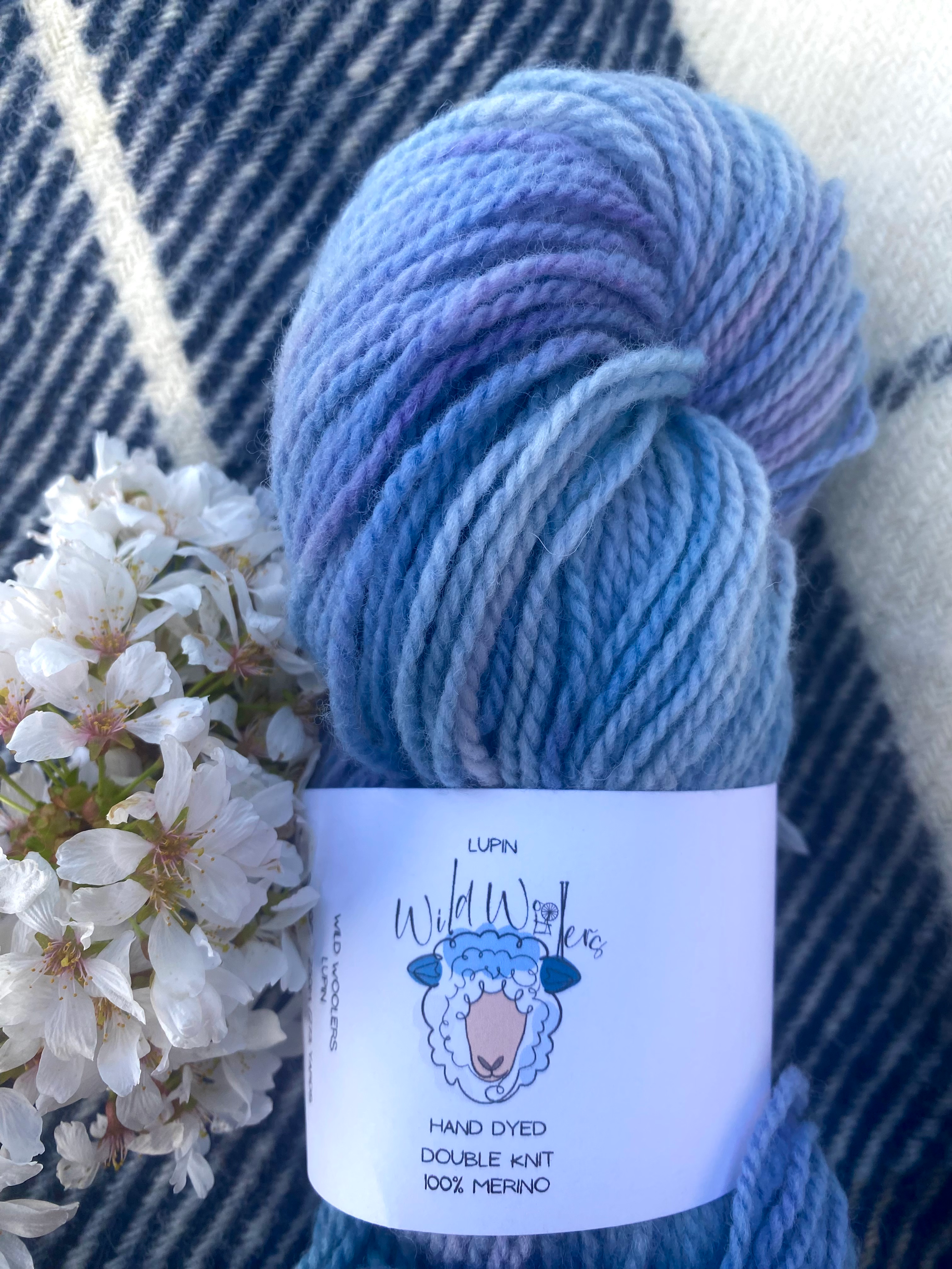Lupin DK Merino
