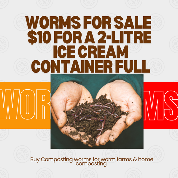 Worms for sale.png