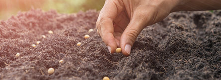 Opportunities for Global MNCs in India’s Farmtech Sector