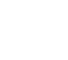 palmier blanc.png