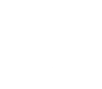 palmier blanc.png