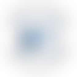 shop skyway in seattle wa free services for small business owners in skyway Washington partnered with king county department of local services participatory budget program