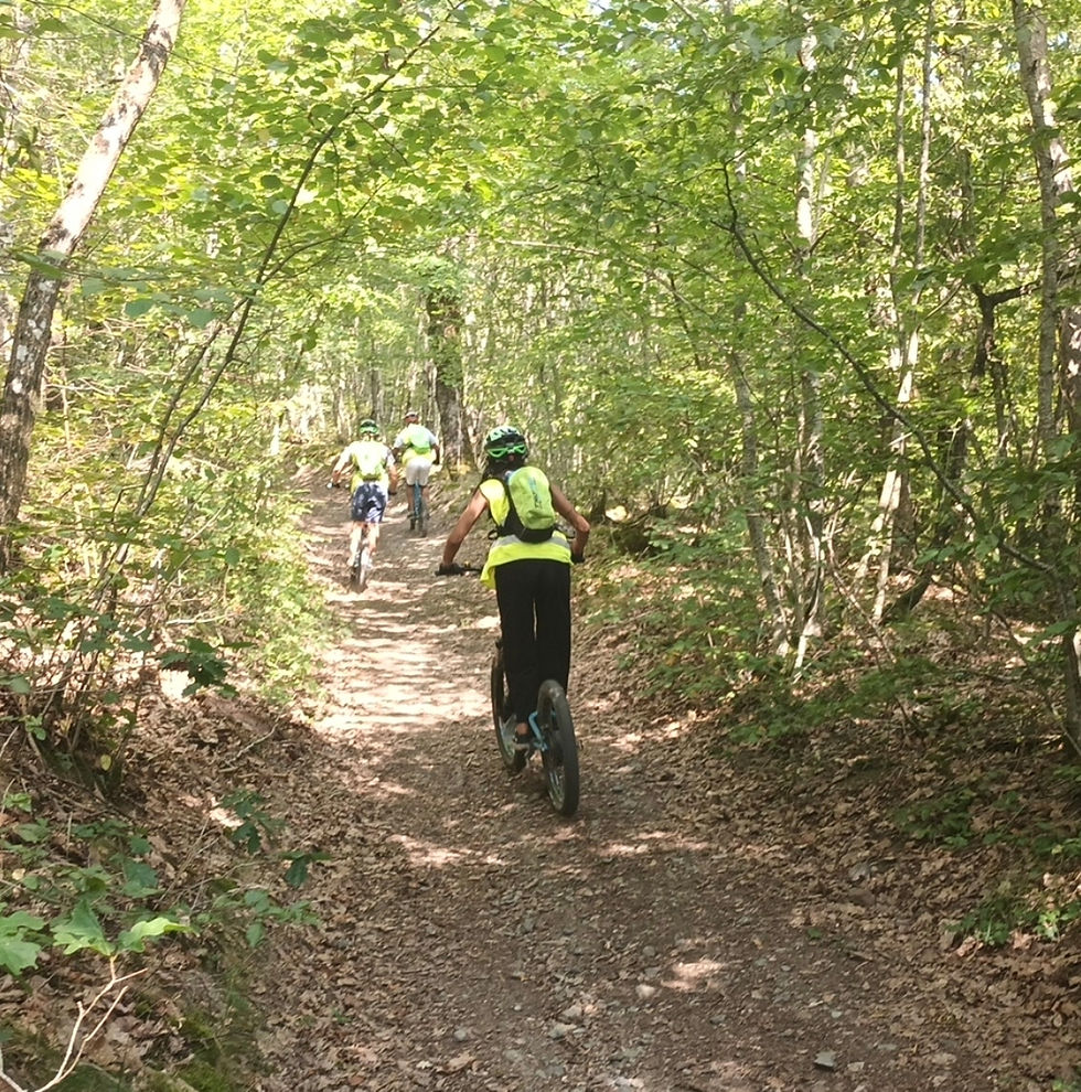 Vue en plongée d’une trottinette tout terrain sur un chemin forestier