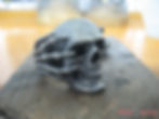 Thumbnail: Deathgrip Skull Ring