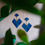 Miniature : Mosaïque Bleue 2