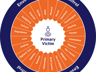 ECLIPSES Coercive Control Wheel 