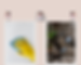 Sans titre (17).png