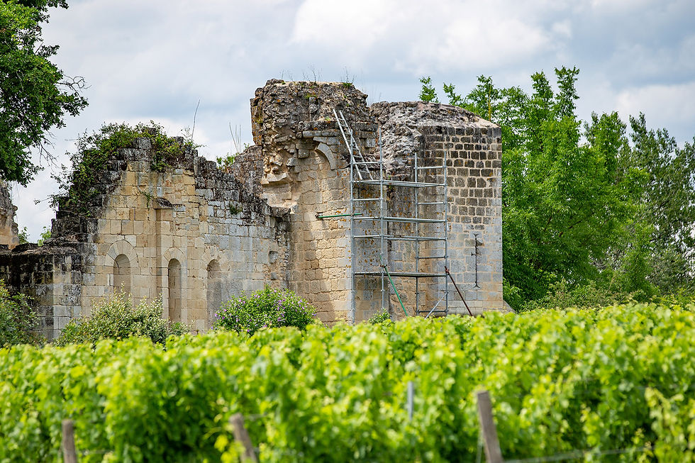Commanderie hospitalière de Sallebruneau © David Remazeilles