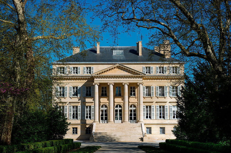 Margaux © AdobeStock