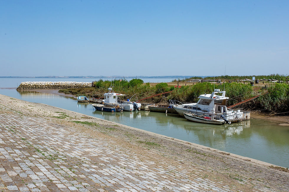 Saint-Christoly-Médoc © David Remazeilles