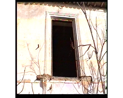 VHS still