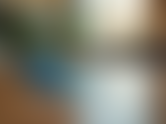 Maximize Your Air Miles: Expert Tips and Management Services