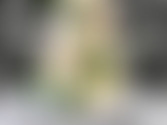 Choosing A Cake Flavour That Excites with Every Bite