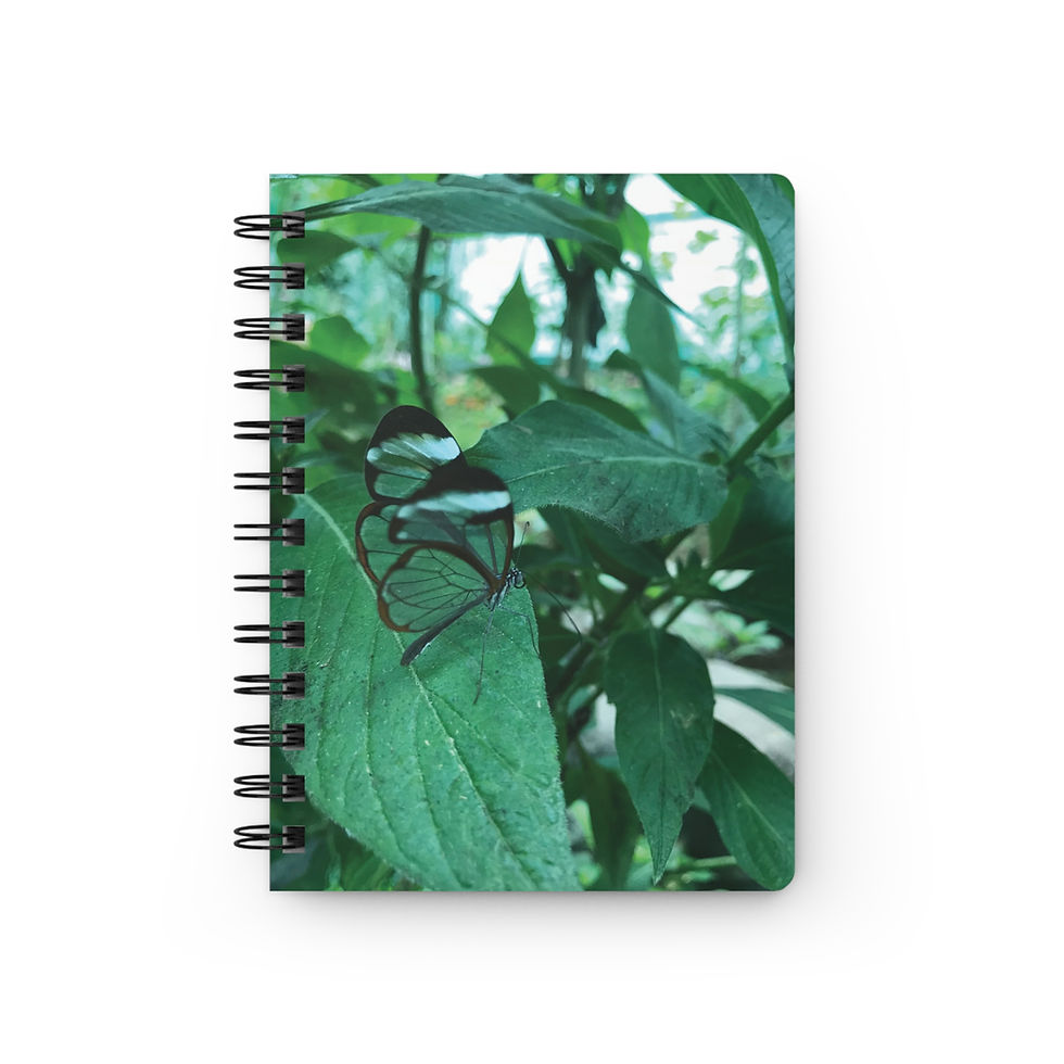 Thumbnail: glasswing butterfly spiral notebook 