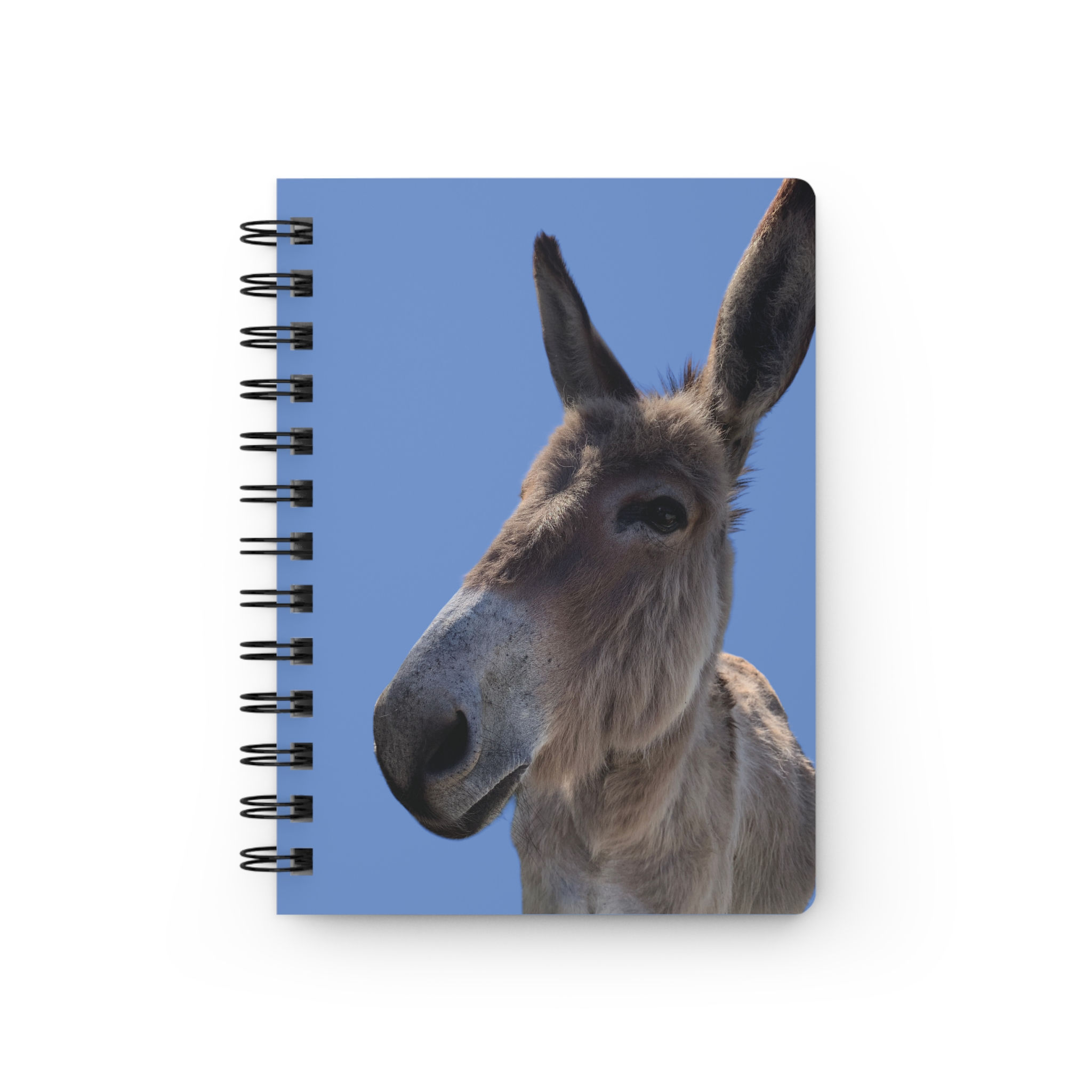 fluffy donkey spiral notebook