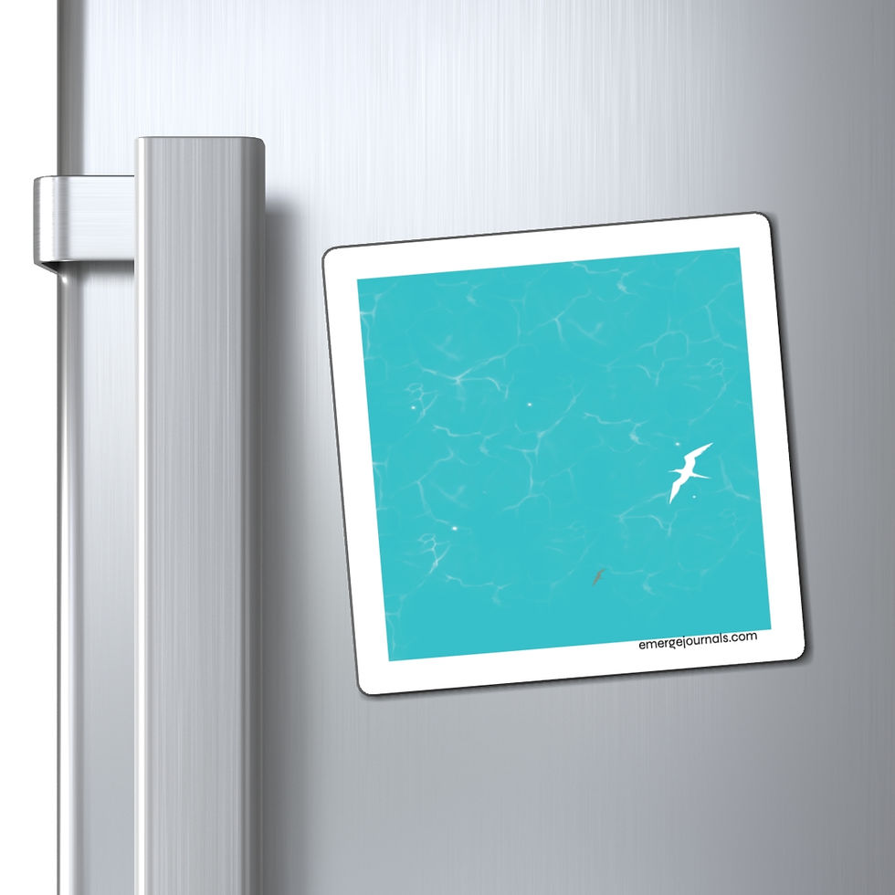 Thumbnail: ocean flyer magnet