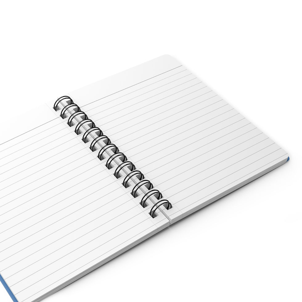 Thumbnail: curious pigeon spiral notebook