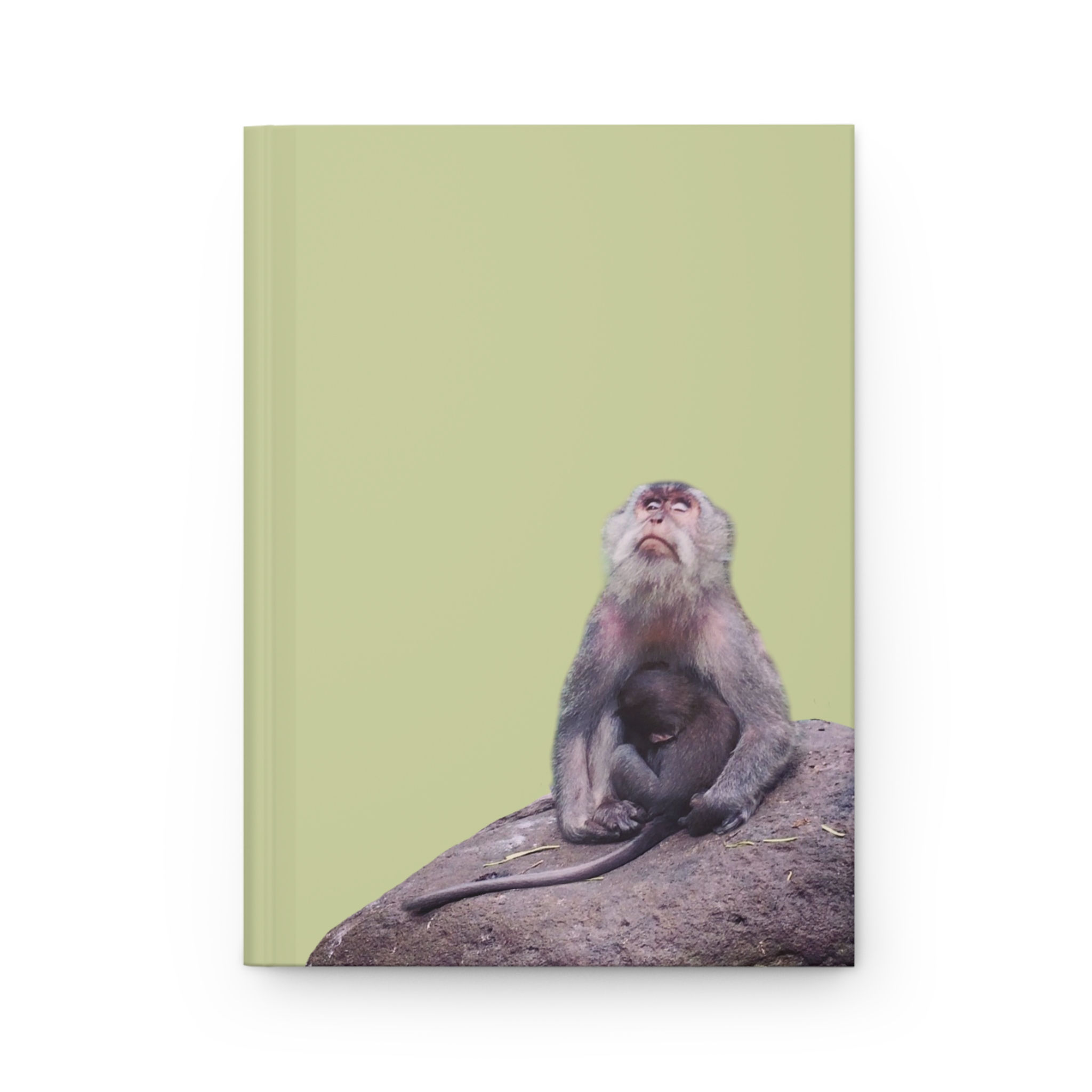 bali monkey hardcover