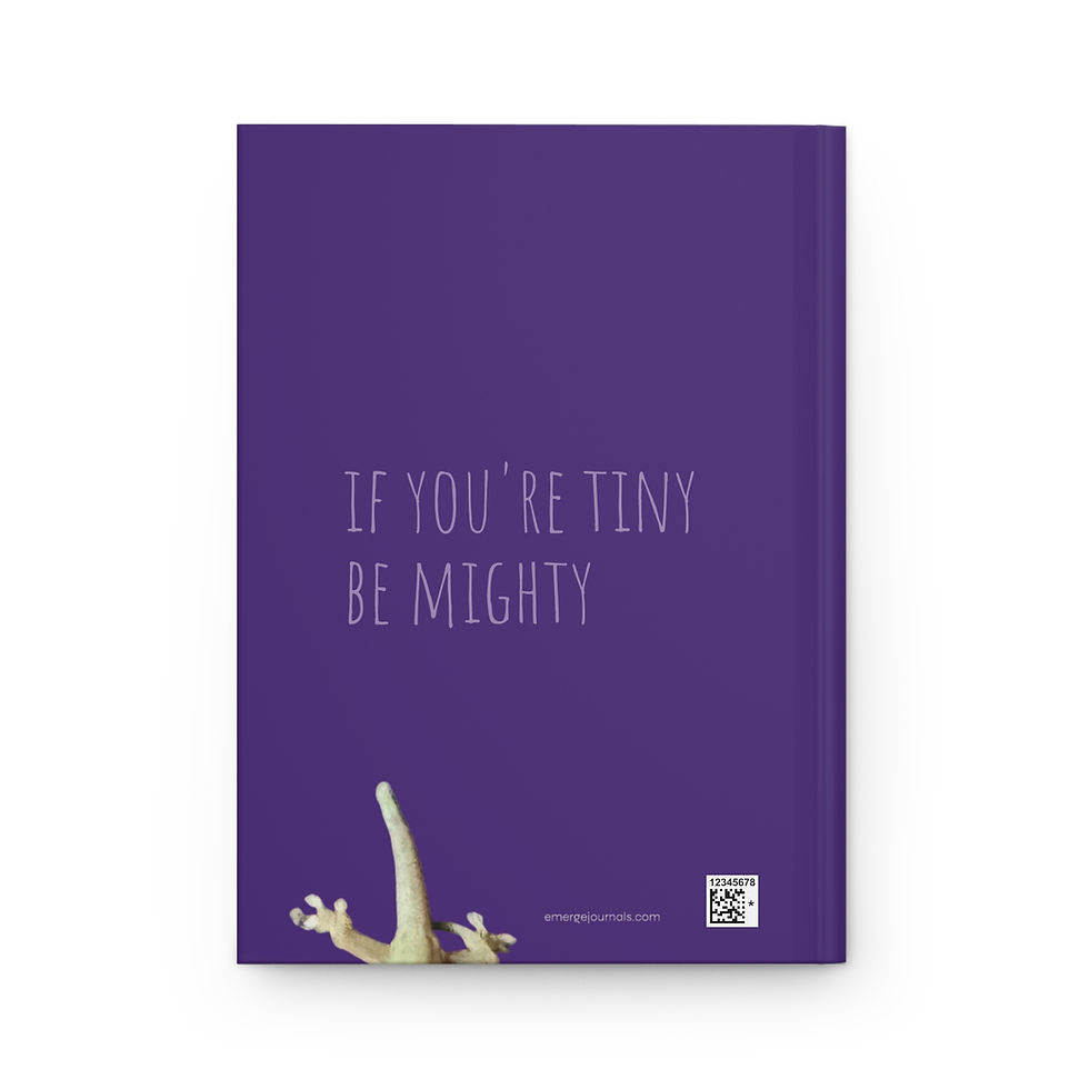 Thumbnail: tiny gecko hardcover