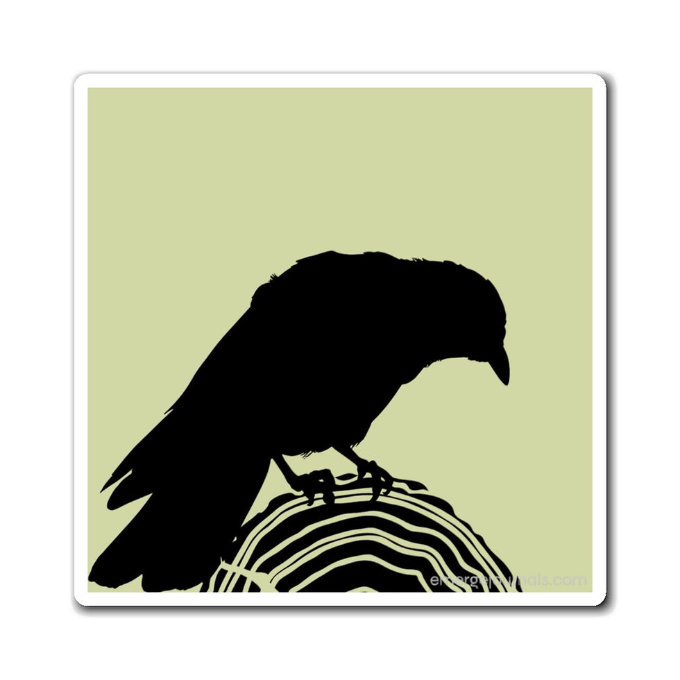 Crow Silhouette Magnet 
