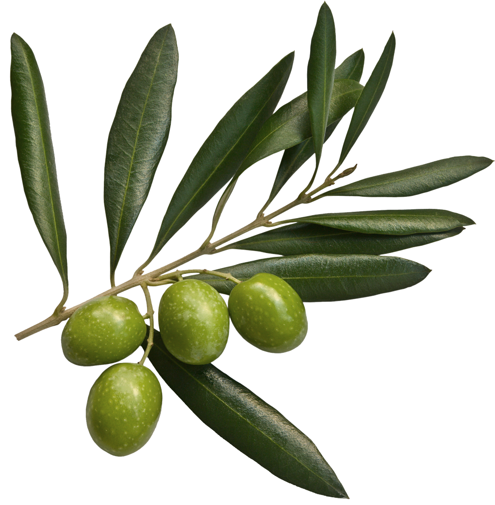 Olives