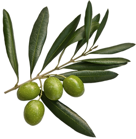 Olives